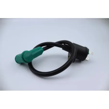 Bobine allumage APOLLO RFZ OPEN 125 2020 - 2020