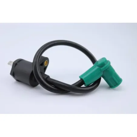 Bobine allumage APOLLO RFZ OPEN 125 2020 - 2020