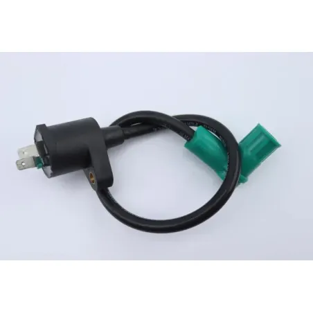 Bobine allumage APOLLO RFZ OPEN 125 2020 - 2020