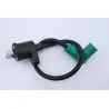 Bobine allumage APOLLO RFZ OPEN 125 2020 - 2020