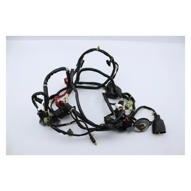 Faisceau electrique HONDA SH 125 2009 - 2012