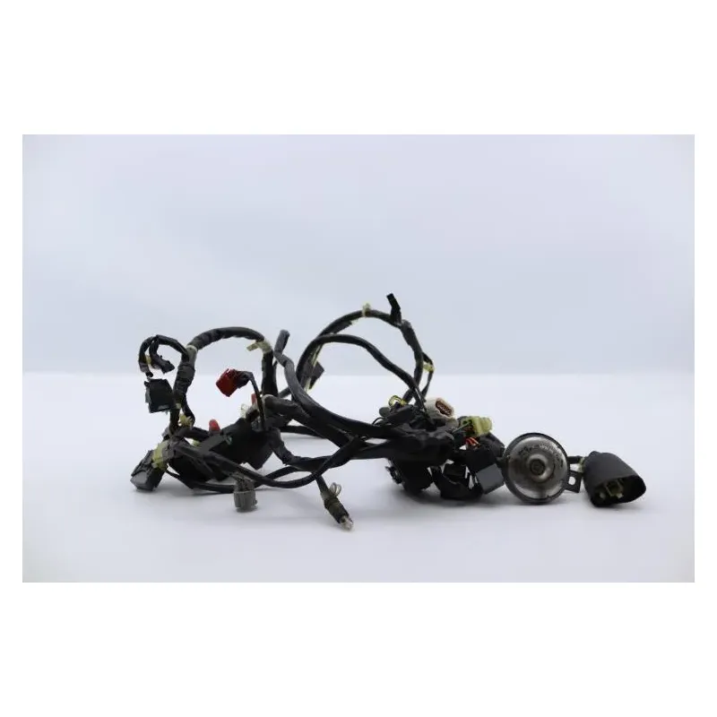 Faisceau electrique HONDA SH 125 2009 - 2012