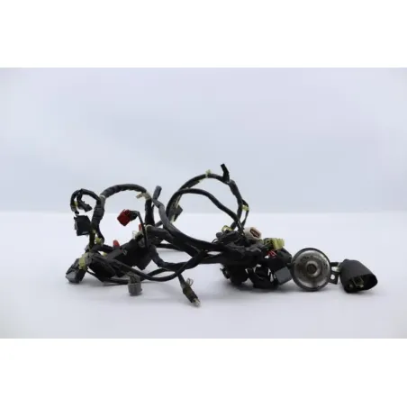Faisceau electrique HONDA SH 125 2009 - 2012