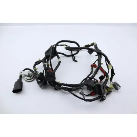 Faisceau electrique HONDA SH 125 2009 - 2012