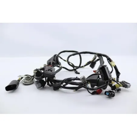 Faisceau electrique HONDA SH 125 2009 - 2012