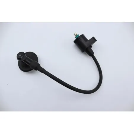 Bobine allumage PEUGEOT VIVACITY 125 2006 - 2009