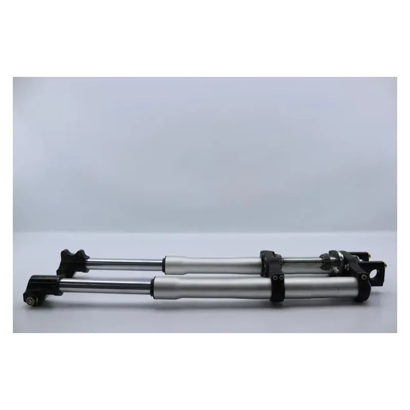 Fourche complete APOLLO RFZ OPEN 125 2020 - 2020