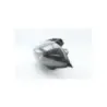Optique (feux)(phare) PIAGGIO X9 125 2001 - 2003