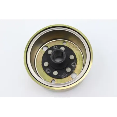Rotor volant moteur ORCAL TREX 50 2013 - 2017