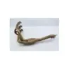 Collecteur (echappement) TRIUMPH SPRINT 955 RS 2000 - 2003 Collecteur (echappement) TRIUMPH SPRINT 955 RS 2000 - 2003