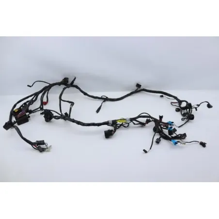 Faisceau electrique TRIUMPH SPRINT 955 RS 2000 - 2003
