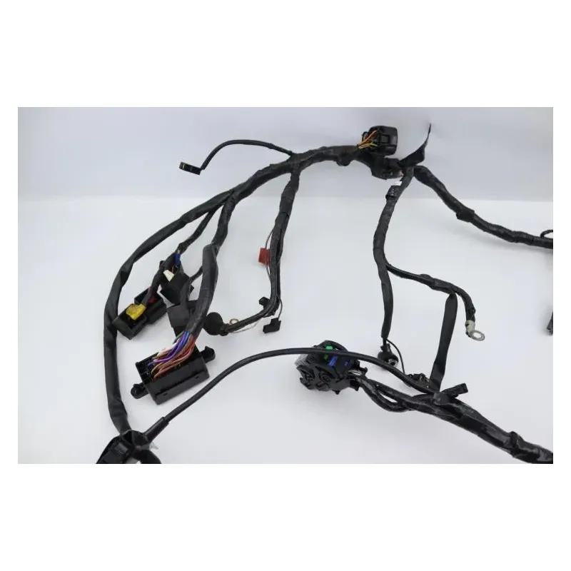 Faisceau electrique TRIUMPH SPRINT 955 RS 2000 - 2003