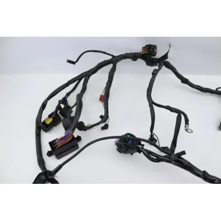 Faisceau electrique TRIUMPH SPRINT 955 RS 2000 - 2003