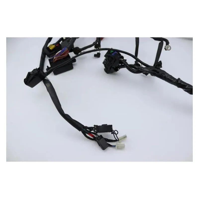Faisceau electrique TRIUMPH SPRINT 955 RS 2000 - 2003