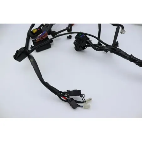Faisceau electrique TRIUMPH SPRINT 955 RS 2000 - 2003