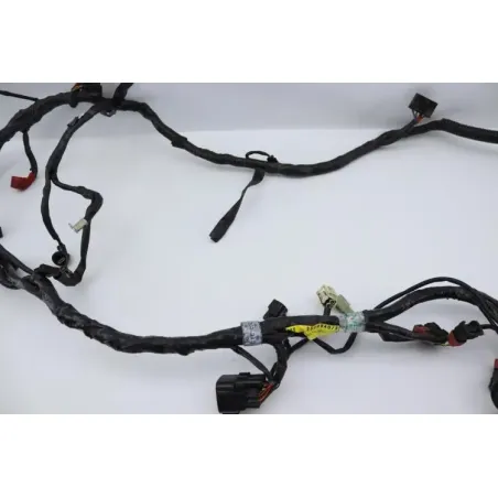 Faisceau electrique TRIUMPH SPRINT 955 RS 2000 - 2003