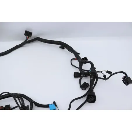 Faisceau electrique TRIUMPH SPRINT 955 RS 2000 - 2003