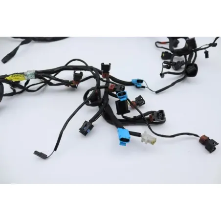 Faisceau electrique TRIUMPH SPRINT 955 RS 2000 - 2003