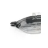 Veilleuse TRIUMPH SPRINT 955 RS 2000 - 2003 Veilleuse TRIUMPH SPRINT 955 RS 2000 - 2003