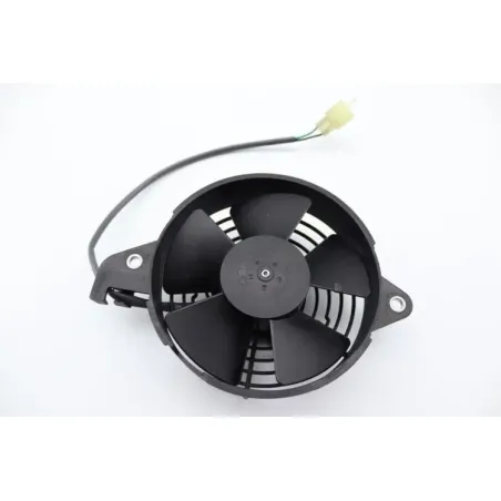 Ventilateur HONDA FES 125 S WING ABS 2007 - 2008