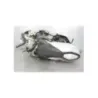 Moteur HONDA ADV 350 ABS 2022 - 2024