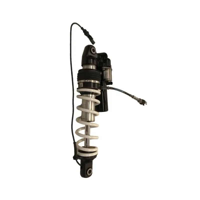 Amortisseur BMW R 1300 GS 2024-2026