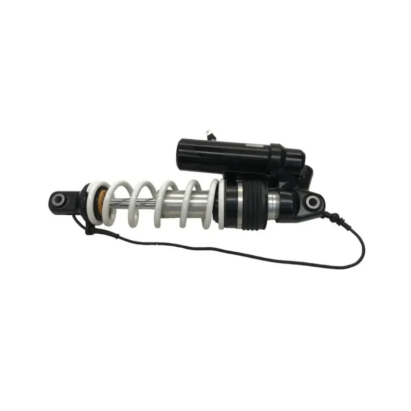 Amortisseur BMW R 1300 GS 2024-2026