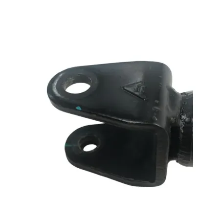 Double amortisseur PIAGGIO BEVERLY 350 2011-2014 IE