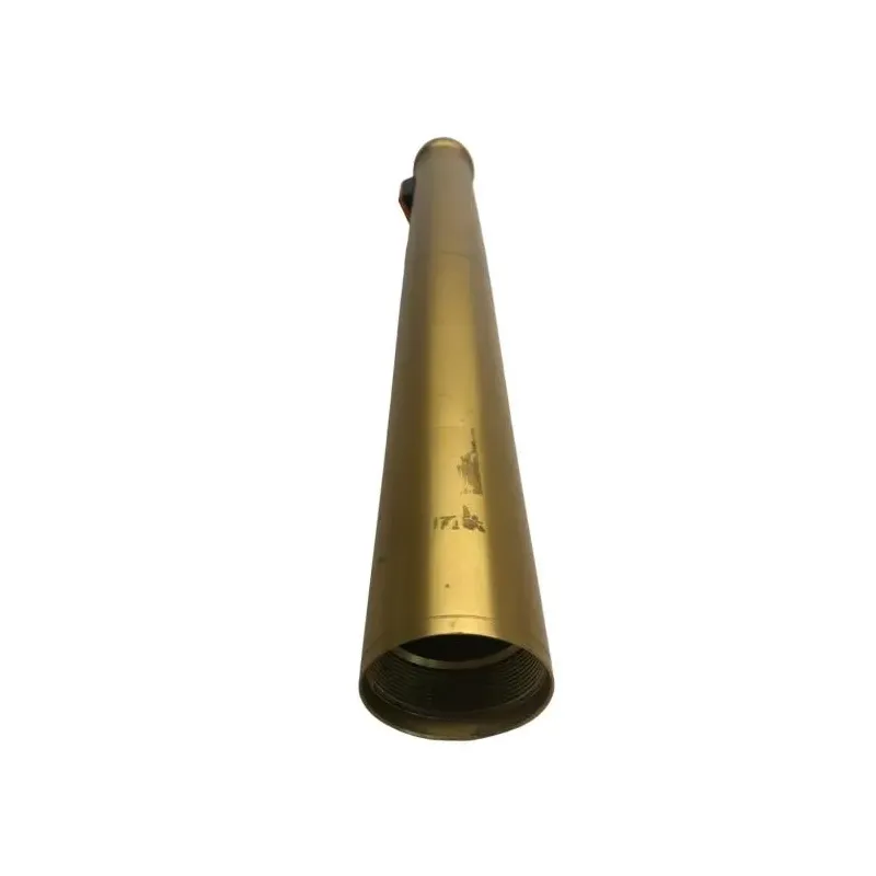 Fourreau fourche droit BMW F 900 R 2020-2024