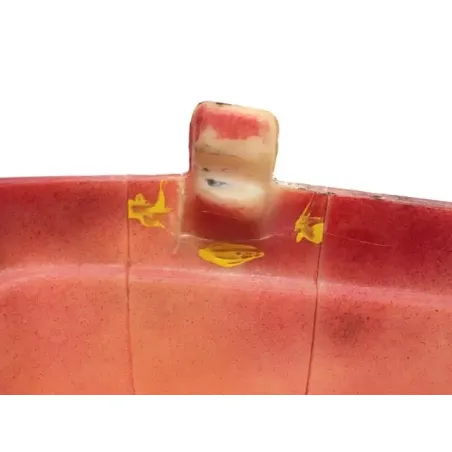 Cache lateral droit HONDA CL 350 1968-1973