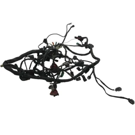 Faisceau electrique HONDA CBF 600 2008-2010 N