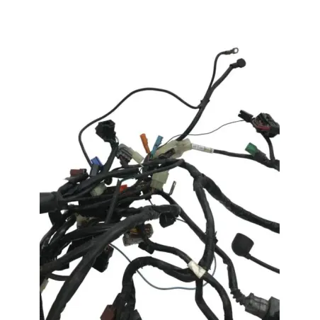 Faisceau electrique HONDA CBF 600 2008-2010 N