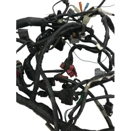 Faisceau electrique HONDA CBF 600 2008-2010 N