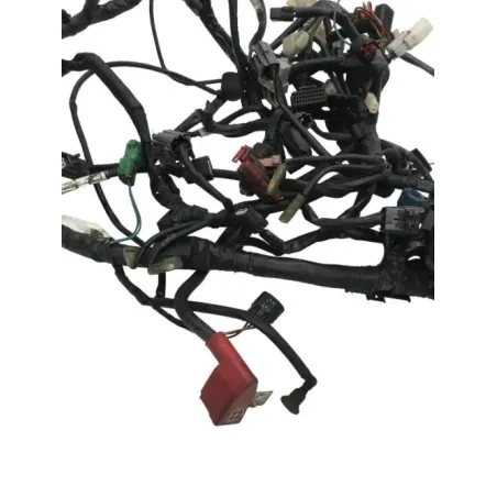 Faisceau electrique HONDA CBF 600 2008-2010 N