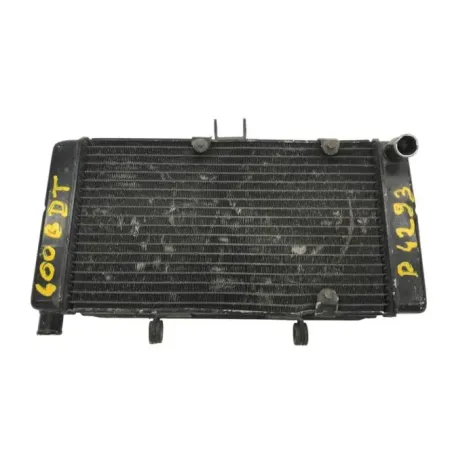 Radiateur eau SUZUKI GSF 400 1991-1993 BANDIT