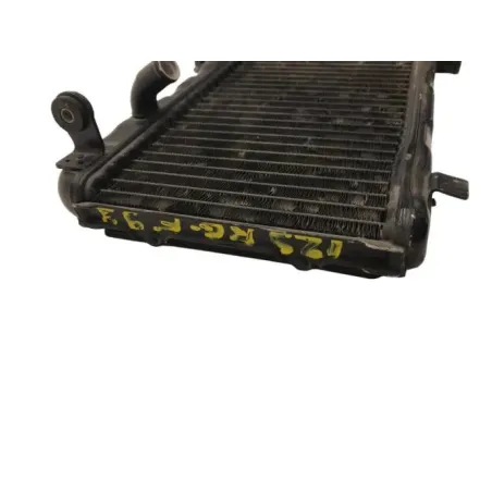 Radiateur eau SUZUKI RG 125 F 1992-1996 GAMMA