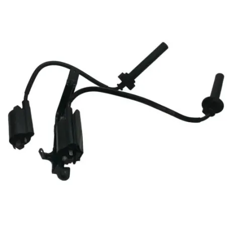 Bobine allumage YAMAHA TDM 900 2007-2010 ABS
