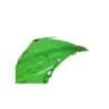 Cache flanc de carenage droit KAWASAKI NINJA 300 2013-2016