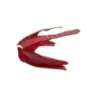 Cache carenage tete de fourche DUCATI PANIGALE 1199 2012-2015