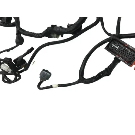 Faisceau electrique HONDA CBF 600 2008-2012 S