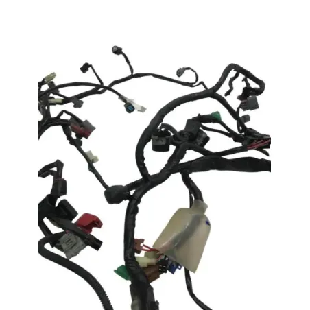 Faisceau electrique HONDA CBF 600 2008-2012 S