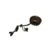 Stator alternateur SUZUKI DL 650 2022-2024 VSTROM
