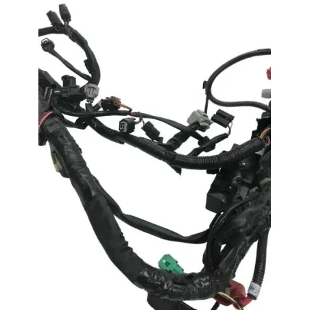 Faisceau electrique SUZUKI DL 650 2022-2024 VSTROM