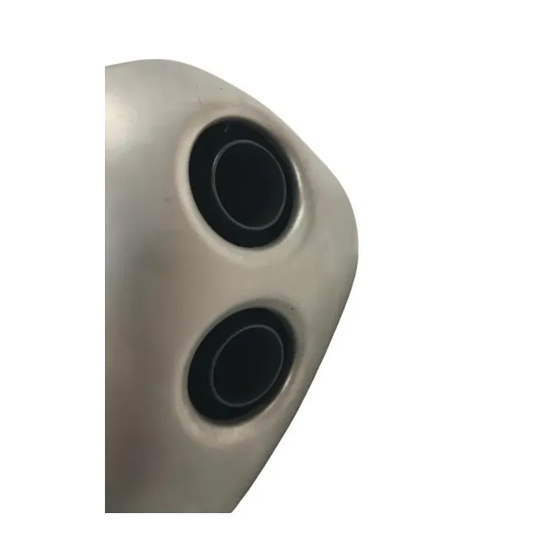 Silencieux (echappement) YAMAHA FZ8 800 2011-2015