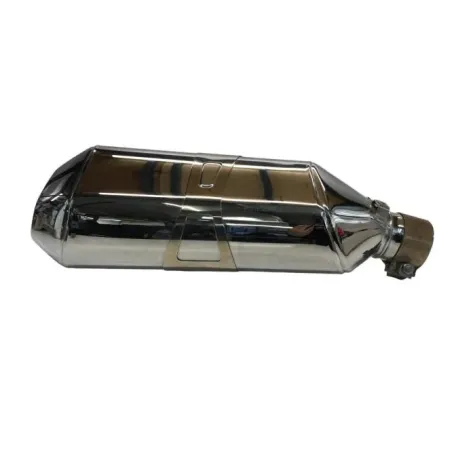 Silencieux (echappement) BMW R 1250 R 2019-2024