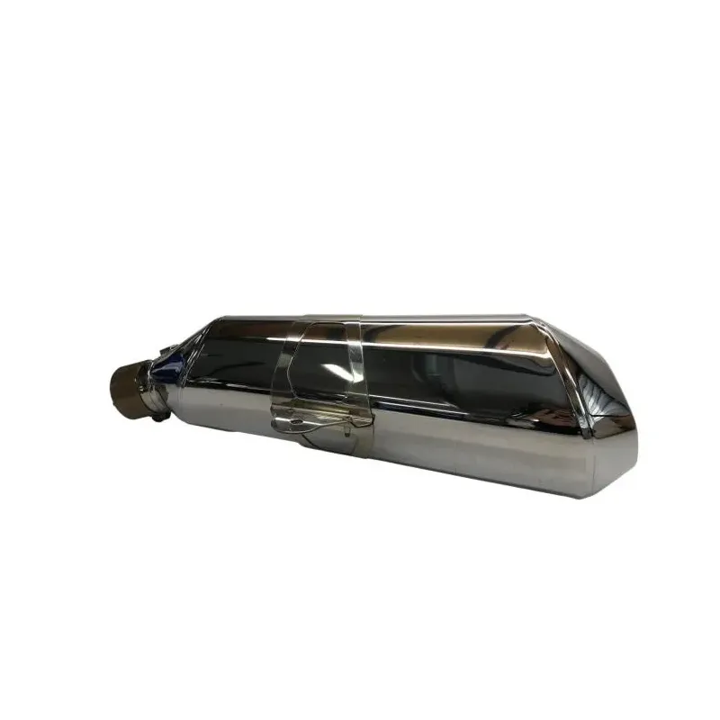 Silencieux (echappement) BMW R 1250 R 2019-2024