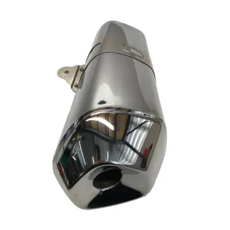 Silencieux (echappement) BMW R 1250 R 2019-2024
