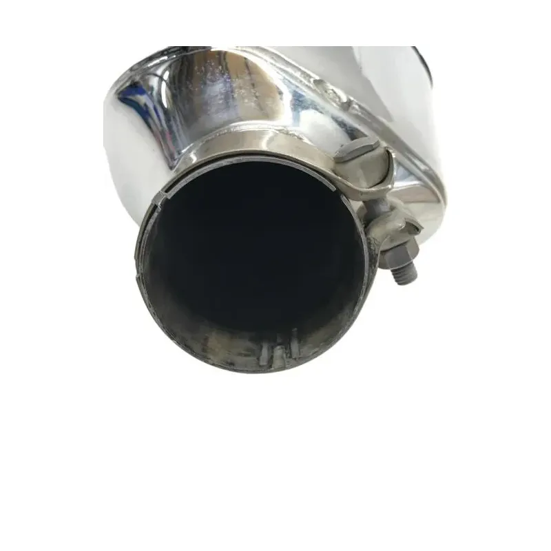 Silencieux (echappement) BMW R 1250 R 2019-2024