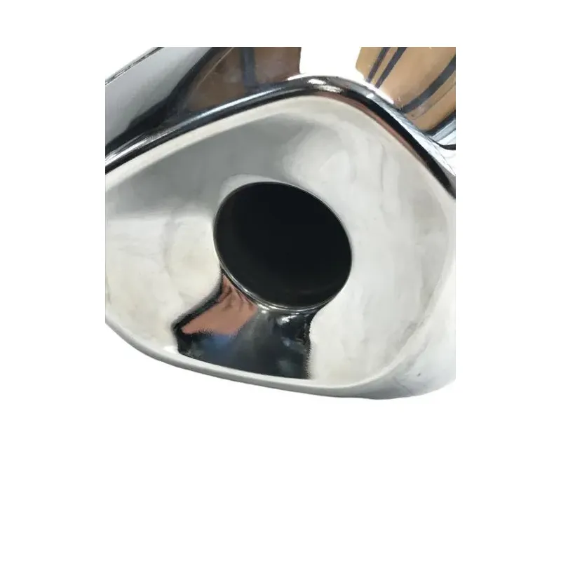 Silencieux (echappement) BMW R 1250 R 2019-2024
