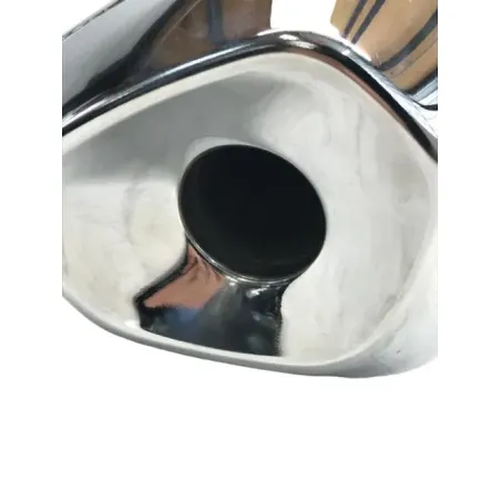 Silencieux (echappement) BMW R 1250 R 2019-2024